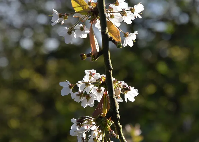 Les Jardins Des 3 Soeurs