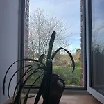 Gospodarstwo agroturystyczne Les Jardins Des 3 Soeurs *