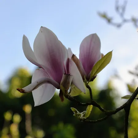 مزرعة للإقامة Les Jardins Des 3 Soeurs *