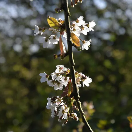 Les Jardins Des 3 Soeurs