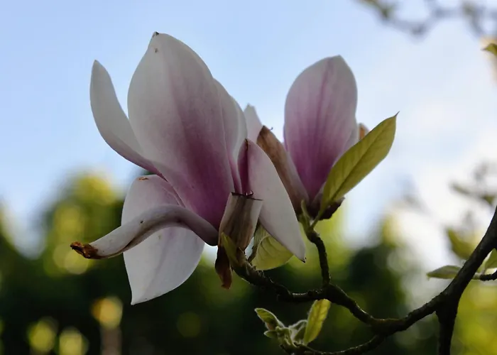 בית חווה Les Jardins Des 3 Soeurs *