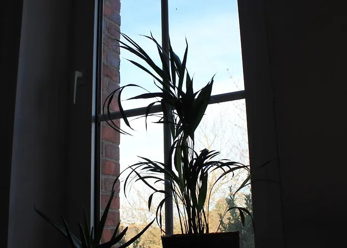 Séjour à la ferme Les Jardins Des 3 Sœurs